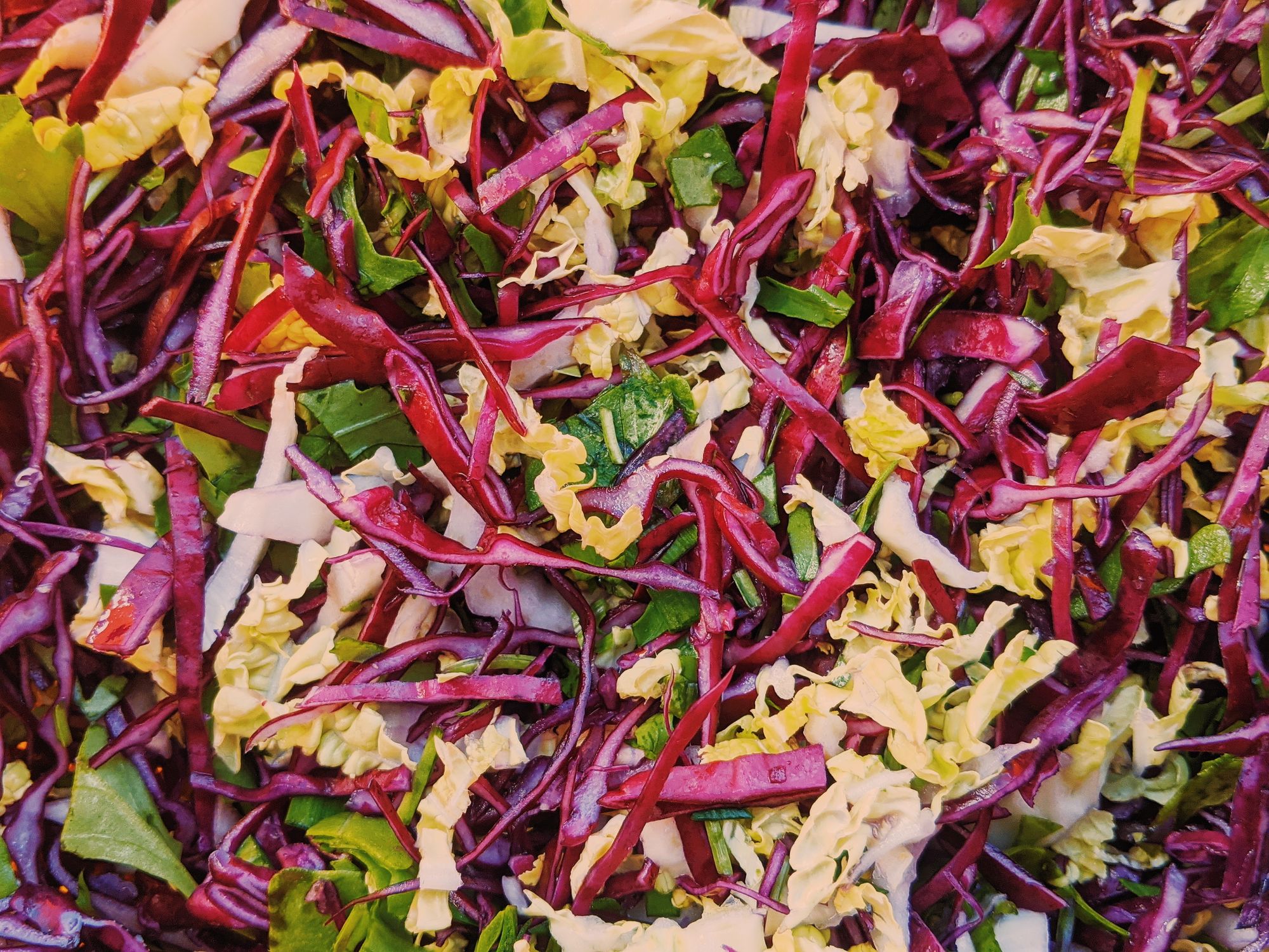 Fresh organic vegetables on a wooden table